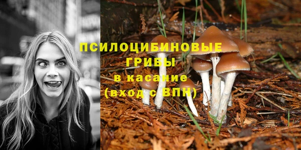 хмурый Алзамай