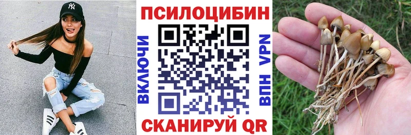 shop как зайти закладка Мирный Галлюциногенные грибы мицелий